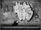 Banksy left his mark in Toronto?
