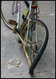 web_IMG_7746.jpg