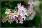 web_IMG_8633.jpg