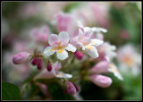 web_IMG_8644.jpg
