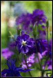 web_IMG_8681.jpg