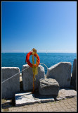 web_IMG_8405.jpg