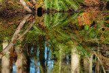  Reflections