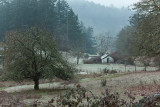 Frosty Morning on the Farm