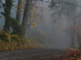 October Fog