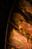 18 Aug... Autumn is coming