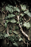 21 Aug: TITC: Textures