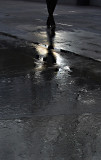 Shadows 2