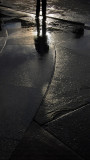 Shadows 3