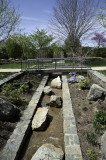 A day at the Arboretum