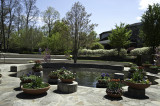 A day at the Arboretum