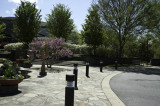 A day at the Arboretum