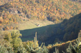 Those white dots below are cattle