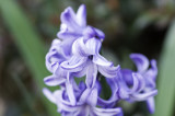 DSC_0020.jpg
