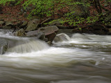 wHunting Creek in Spring3 P4261217.jpg