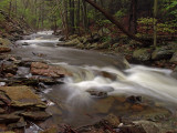 wHunting Creek in Spring14 P4261160.jpg