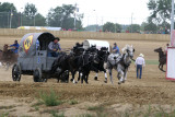 Chuck Wagon Races