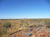 Outback67.jpg