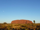 Outback128.jpg