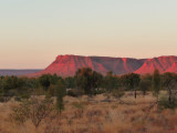 Outback321.jpg