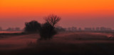 Sunset and Ground Fog at the Pixley Wildlife Refuge