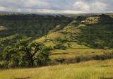 Overlooking Upper Bidwell Park