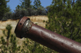 A Monitor (Water Canon) at Malikoff Diggings State Park