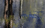 Reflections in the Merced River