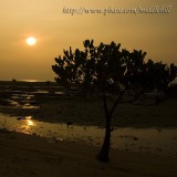 Pak Nai sunset - ժd鸨 - 021