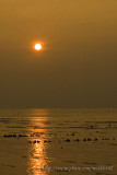 Pak Nai sunset - ¥Õªd¤é¸¨ - 095