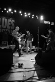 Blues Lee 4976.JPG