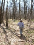 High Rocks Trail