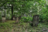 IMG_16547.JPG