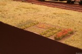 IMG_10612.JPG