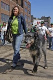 _DSC0279.jpg