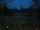 Pic235.jpg