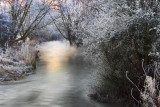 Winters Coat, River Windrush, Witney, Oxfordshire. 