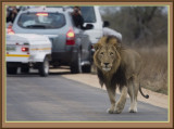 Kruger National Park Game Reserve