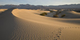 Wandering the Sand Dunes