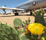 Pima Air Museum