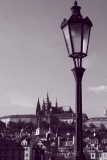 Praga 14