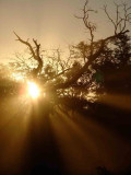 Botswana-Sunset dust-1.jpg