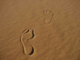 Egypt-Footprints in the desert-1.jpg