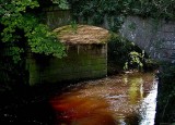 Under Dog Marsh Bridge