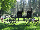 The Carriage