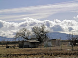 Cloudy Ranchland