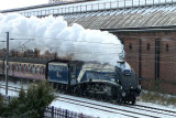 Sir Nigel Gresley Steam Locomotive 60007, Darlington
