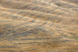 The Crete, near Siena