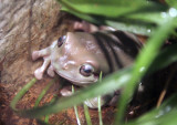 DSCF1918_1.jpg