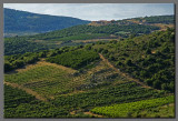 The blue hills of Galilee